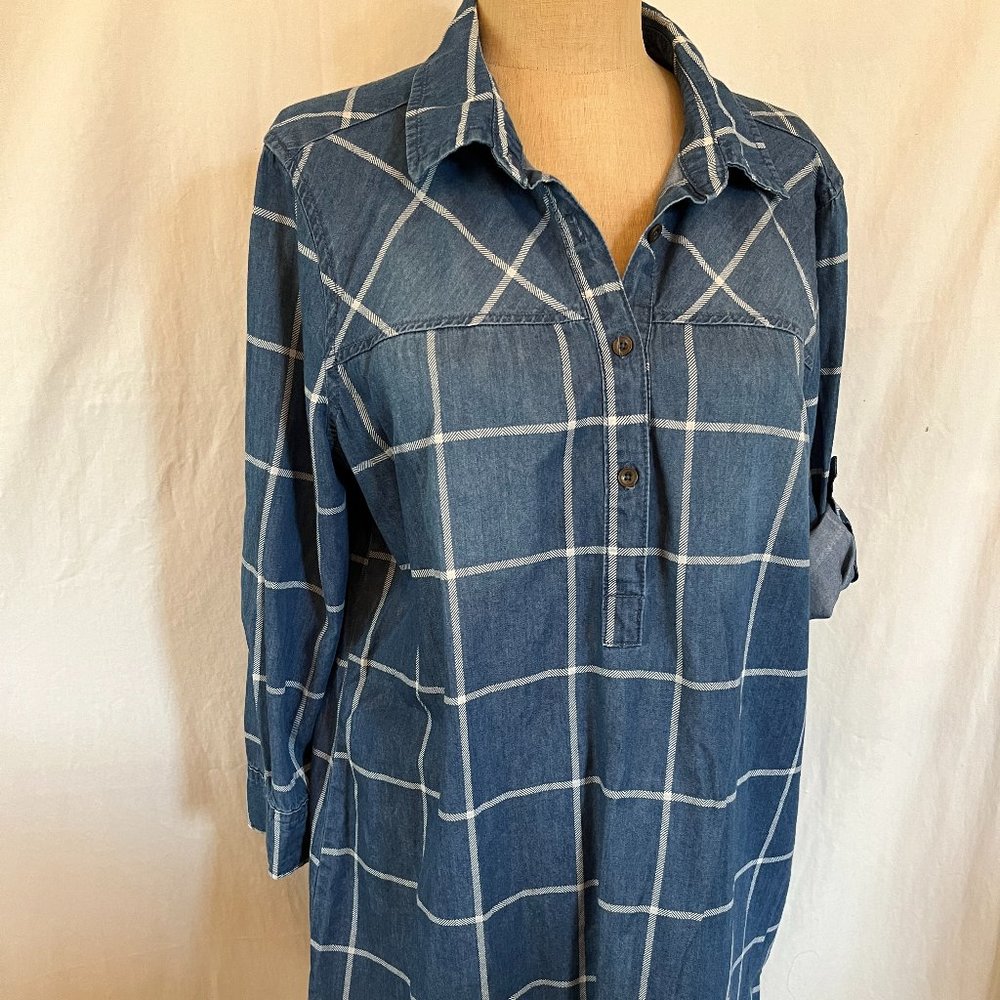 Canyon River Blues denim Shirt Dress